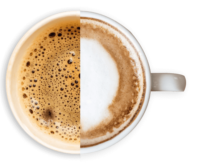 lorem ipsum dolor sit